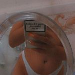 Nee_nees__682f230dc8215.jpeg
