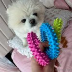 riri_girl826 / xxxriley_682de14c3576f.jpeg